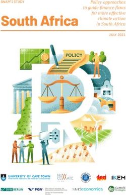 South Africa Policy approaches to guide finance flows for more effective climate action in South Africa