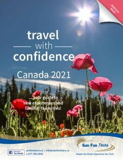 Travel with confidence - Sun Fun Tours