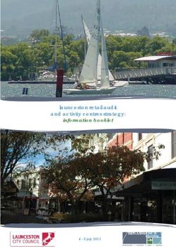 Information booklet launceston retail audit and activity centres strategy: RENAISSANCE - Stable ...