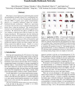 Transformable Bottleneck Networks