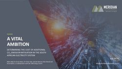 A VITAL AMBITION DETERMINING THE COST OF ADDITIONAL CO2 EMISSION MITIGATION IN THE SOUTH AFRICAN ELECTRICITY SYSTEM - Meridian Economics