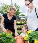 10 years of One Planet Home - B&Q Sustainability Review 2016/17 - Bioregional