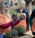 10 years of One Planet Home - B&Q Sustainability Review 2016/17 - Bioregional