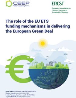 The role of the EU ETS funding mechanisms in delivering the European Green Deal