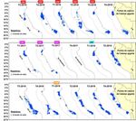 9th MEETING OF THE SCIENTIFIC COMMITTEE SC9-SQ04 - Squid On Board Monitoring Results - South ...