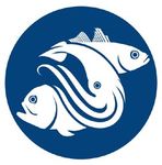 9th MEETING OF THE SCIENTIFIC COMMITTEE SC9-SQ04 - Squid On Board Monitoring Results - South ...