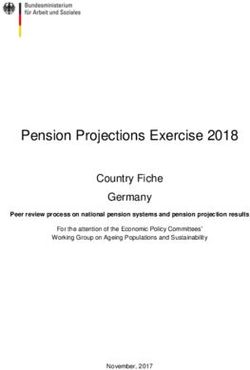 Pension Projections Exercise 2018 - Country Fiche Germany - European Commission