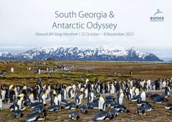 South Georgia & Antarctic Odyssey - Aboard MV Greg Mortimer | 22 October - 8 November 2022 - Aurora Expeditions