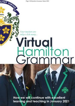 Virtual Hamilton Grammar - How we will continue with excellent learning and teaching in January 2021