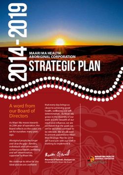 Strategic Plan - Maari Ma Health