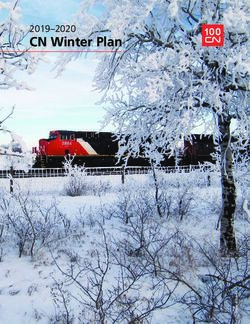 CN Winter Plan 2019-2020 - CN Rail