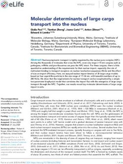 Molecular determinants of large cargo transport into the nucleus - eLife