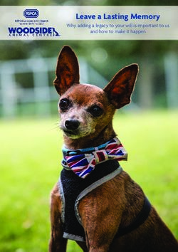 Leave a Lasting Memory - Why adding a legacy to your will is important to us and how to make it happen - Woodside Animal Centre