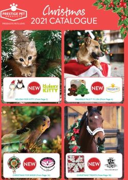 Christmas 2021 CATALOGUE - HOLIDAY FOR KITTY (From Page 2) - Prestige Pet Products