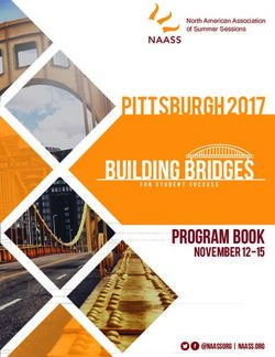 BUILDING BRIDGES pittsburgh 2017 - program Book - NAASS