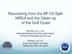 Recovering from the BP Oil Spill: NRDA and the Clean-up of the Gulf Coast