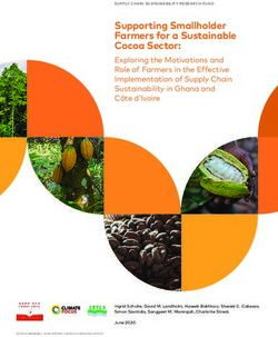 Supporting Smallholder Farmers for a Sustainable Cocoa Sector