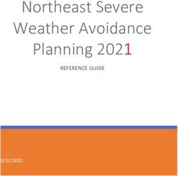 Northeast Severe Weather Avoidance Planning 2021 - REFERENCE GUIDE 3/31/2021 - TFM ...