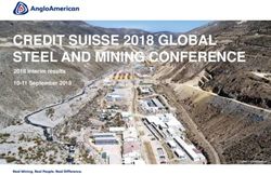 CREDIT SUISSE 2018 GLOBAL STEEL AND MINING CONFERENCE - 2018 interim results 10-11 September 2018 - Anglo American