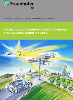 TECHNOLOGY ROADMAP ENERGY STORAGE FOR ELECTRIC MOBILITY 2030