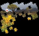 Conservation Matters HERITAGE EDITION - November 2016 - The Endangered Wildlife Trust