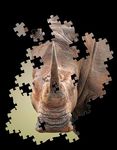 Conservation Matters HERITAGE EDITION - November 2016 - The Endangered Wildlife Trust