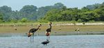 Conservation Matters HERITAGE EDITION - November 2016 - The Endangered Wildlife Trust