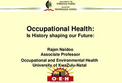 Occupational Health: Is History shaping our Future: Rajen Naidoo Associate Professor