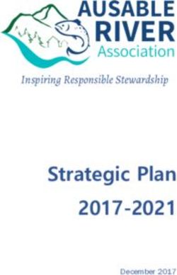 Strategic Plan 2017-2021 - Inspiring Responsible Stewardship - Ausable River Association