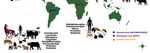 Here, There, and Everywhere: The Wide Host Range and Geographic Distribution of Zoonotic Orthopoxviruses - MDPI