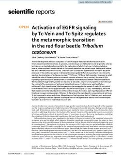 Activation of EGFR signaling by Tc Vein and Tc Spitz regulates the metamorphic transition in the red flour beetle Tribolium castaneum