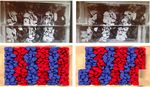 A study on the effect of grain morphology on shear strength in granular ma- terials - EPJ Web of Conferences