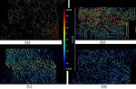 A study on the effect of grain morphology on shear strength in granular ma- terials - EPJ Web of Conferences