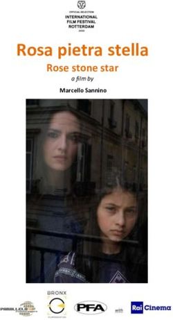 Rosa pietra stella Rose stone star - Marcello Sannino - Parallelo 41 produzioni