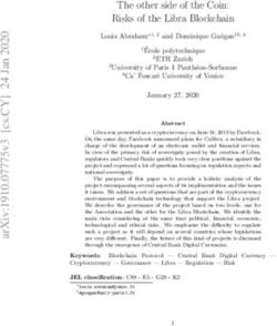 The other side of the Coin: Risks of the Libra Blockchain