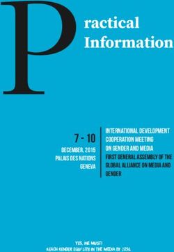 P ractical - INTERNATIONAL DEVELOPMENT COOPERATION MEETING ON GENDER AND MEDIA FIRST GENERAL ASSEMBLY OF THE GLOBAL ALLIANCE ON MEDIA AND GENDER