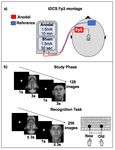 Testing the immediate effects of transcranial Direct Current Stimulation (tDCS) on face recognition skills - Cognitive Science Society