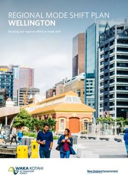 REGIONAL MODE SHIFT PLAN WELLINGTON - Focusing our regional effort on mode shift