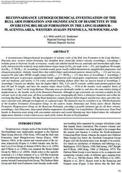 RECONNAISSANCE LITHOGEOCHEMICAL INVESTIGATION OF THE BULL ARM FORMATION AND SIGNIFICANCE OF DIAMICTITE IN THE OVERLYING BIG HEAD FORMATION IN THE ...