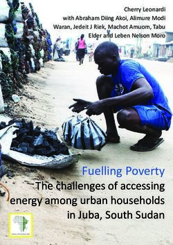 Fuelling Poverty The challenges of accessing energy among urban households in Juba, South Sudan - Rift Valley Institute