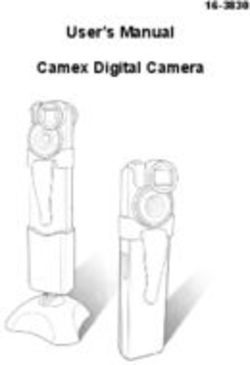 User's Manual Camex Digital Camera 16-3830