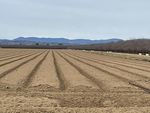 FEBRUARY 2021 FARM VISIT - Rominger Farms, Arbuckle