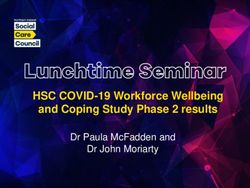 HSC COVID-19 WORKFORCE WELLBEING AND COPING STUDY PHASE 2 RESULTS - DR PAULA MCFADDEN AND DR JOHN MORIARTY - NISCC