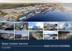 Balder Investor Seminar - 2 July 2021
