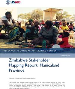 Zimbabwe Stakeholder Mapping Report: Manicaland Province - Research Technical Assistance Center