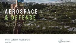 Moss Adams Flight Plan - JUNE 2020