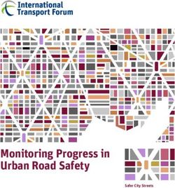 CPB - Monitoring Progress in Urban Road Safety Safer City Streets - European Driving ...