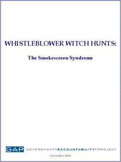 WHISTLEBLOWER WITCH HUNTS: The Smokescreen Syndrome - November 2010