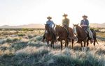 NEW MEXICO YEAR IN REVIEW 2018 - CELEBRATING 40 YEARS OF CONSERVATION IN NEW MEXICO - The Nature Conservancy