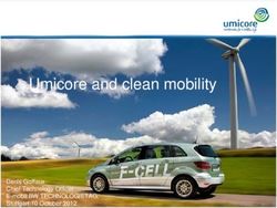 Umicore and clean mobility - Denis Goffaux Chief Technology Officer E-mobil BW TECHNOLOGIETAG, Stuttgart 10 October 2012